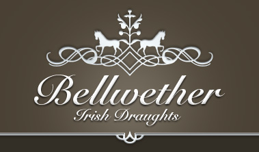 Bellwether Irish Draughts